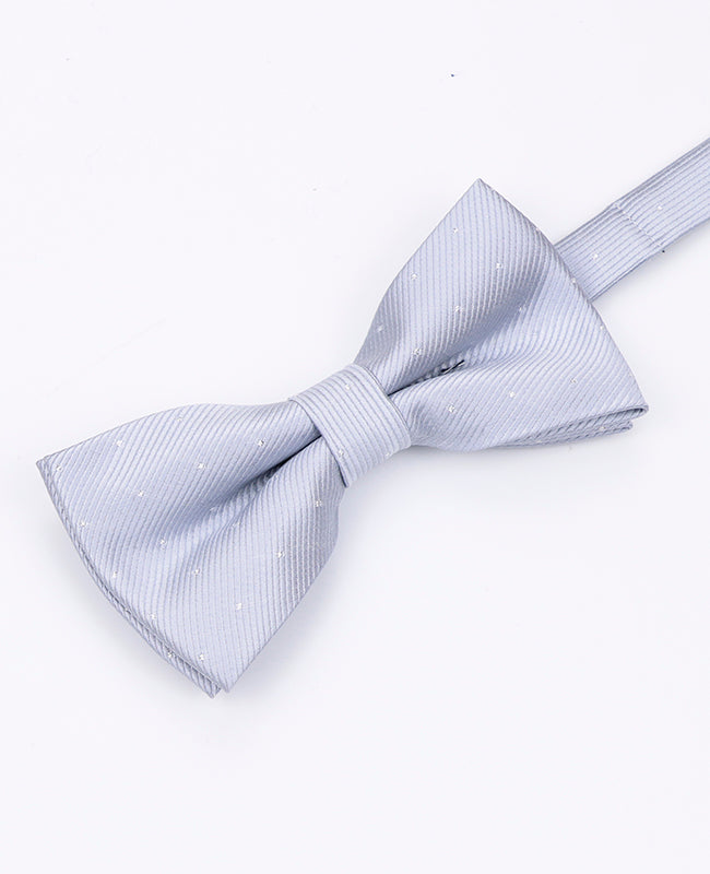 Motýlek Šedý č.2 s Puntíky Pánský z Polyesteru | Georges - Unipap's