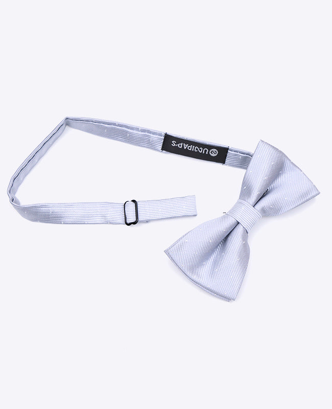 Motýlek Šedý č. 2 s Puntíky Pánský polyesterový | Georges - Unipap's