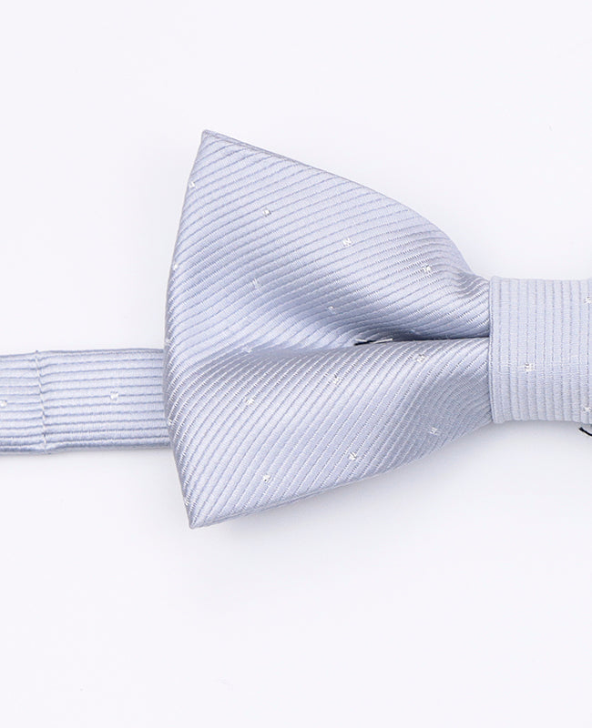 Motýlek Šedý č. 2 s Puntíky Pánský z Polyesteru | Georges - Unipap's