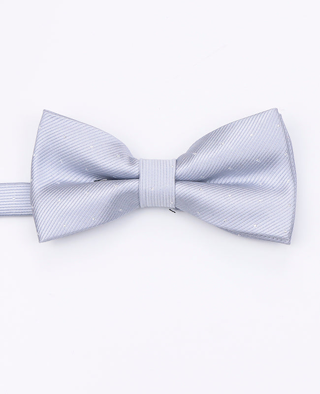 Motýlek Šedý č. 2 s Puntíky Pánský v Polyesteru | Georges - Unipap's