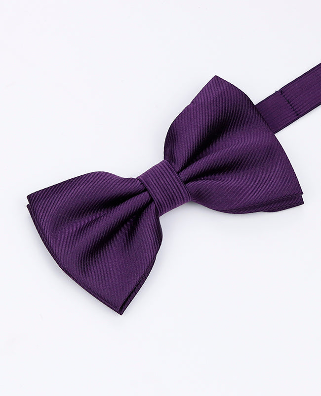 Motýlek XL Fialový č.2 Pánský z Polyesteru | Lucien - Unipap's