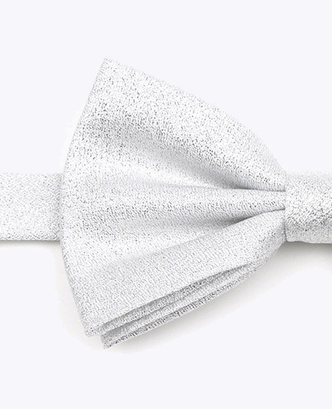 Motýlek s flitry Stříbrný č. 1 Pánský v Polyesteru | Isidore - Unipap's