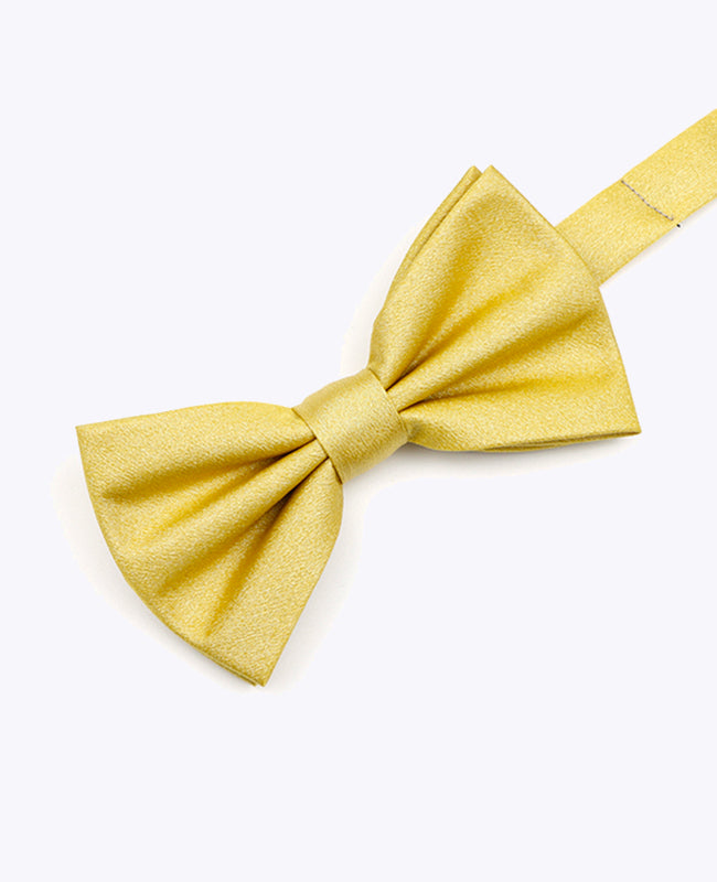 Motýlek s Flitrem Zlatý č. 2 Pánský z Polyesteru | Armand - Unipap's