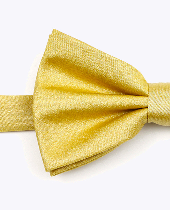 Motýlek s Flitrem Zlatý č. 2 Pánský z Polyesteru | Armand - Unipap's