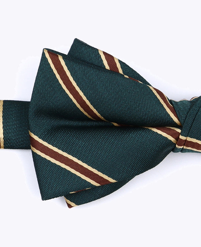 Noeud Papillon Vert à Rayures Homme en Polyester «Edmond»