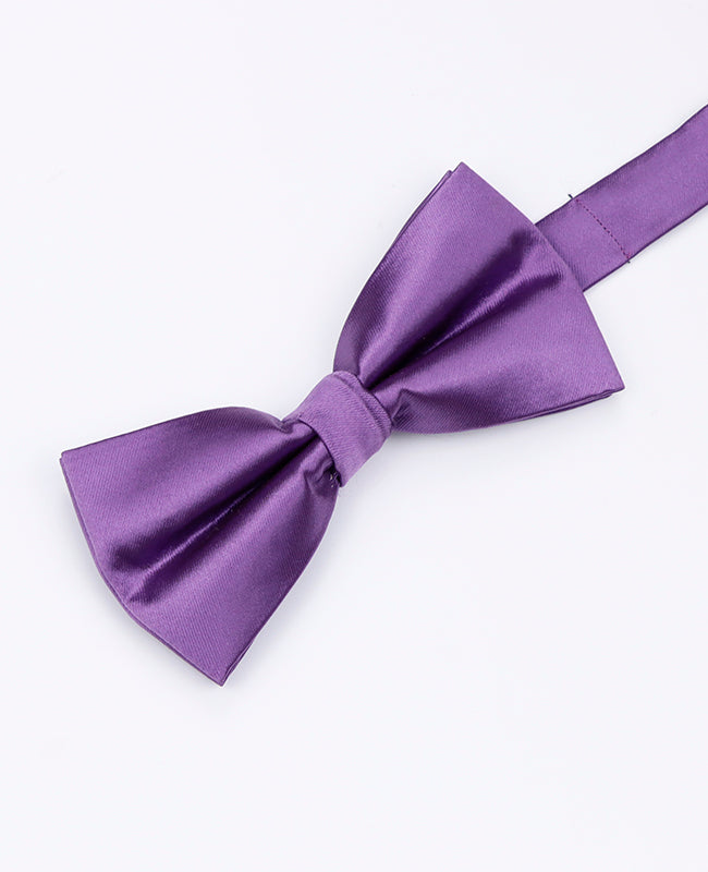 Noeud Papillon Violet n°2 Homme en Polyester | Jules - Unipap's